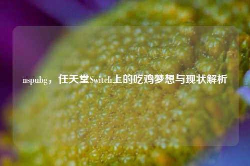 nspubg，任天堂Switch上的吃鸡梦想与现状解析