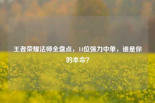 王者荣耀法师全盘点,14位强力中单,谁是你的本命?
