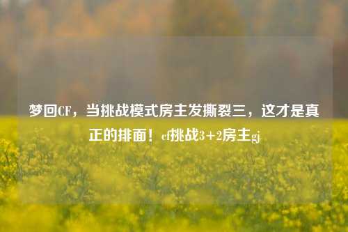梦回CF，当挑战模式房主发撕裂三，这才是真正的排面！cf挑战3+2房主gj