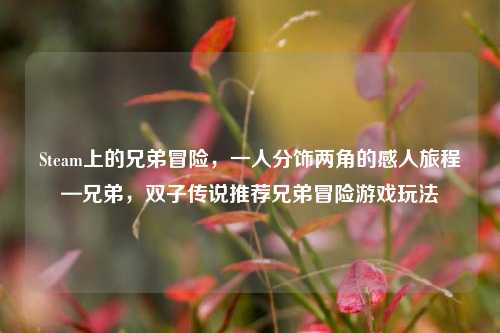 Steam上的兄弟冒险,一人分饰两角的感人旅程—兄弟,双子传说推荐兄弟冒险游戏玩法