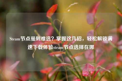 Steam节点虽则难选?掌握这几招,轻松解锁满速下载体验steam节点选择在哪