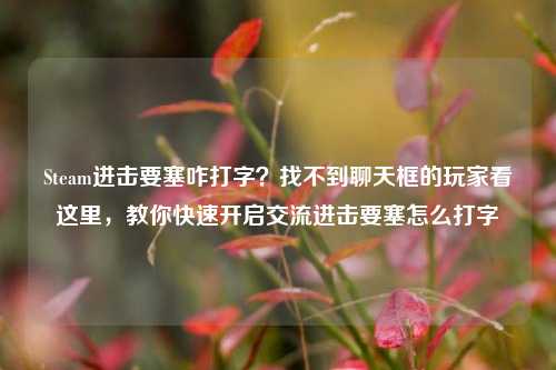Steam进击要塞咋打字?找不到聊天框的玩家看这里,教你快速开启交流进击要塞怎么打字