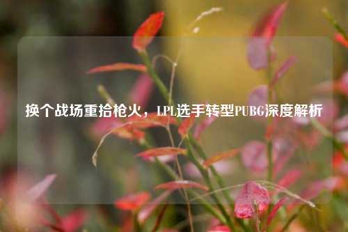 换个战场重拾枪火，LPL选手转型PUBG深度解析