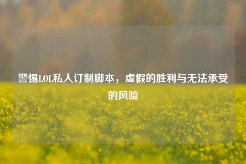 警惕LOL私人订制脚本,虚假的胜利与无法承受的风险