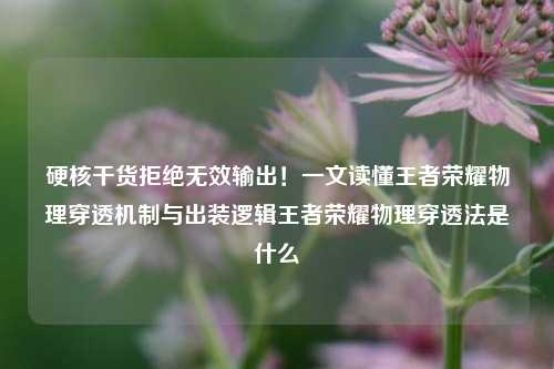 硬核干货拒绝无效输出!一文读懂王者荣耀物理穿透机制与出装逻辑王者荣耀物理穿透法是什么