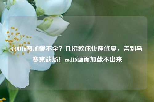 COD16图加载不全？几招教你快速修复，告别马赛克战场！cod16画面加载不出来