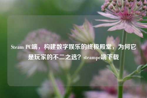 Steam PC端,构建数字娱乐的终极殿堂,为何它是玩家的不二之选?steampc端下载