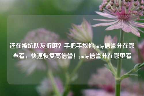 还在被坑队友折磨?手把手教你pubg信誉分在哪查看,快速恢复高信誉!pubg信誉分在哪里看