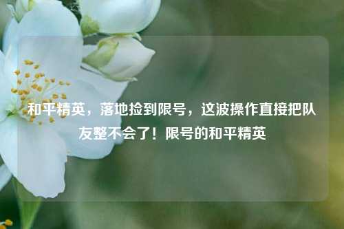 和平精英,落地捡到限号,这波操作直接把队友整不会了!限号的和平精英