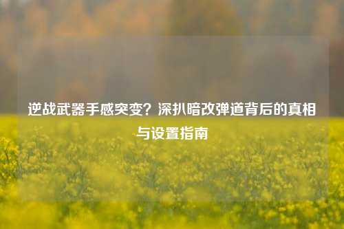 逆战武器手感突变？深扒暗改弹道背后的真相与设置指南