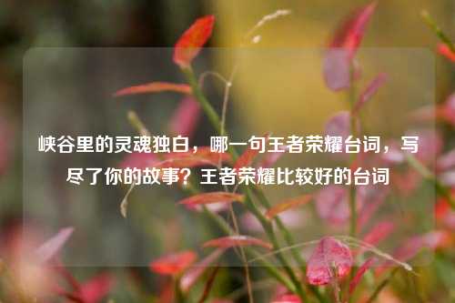 峡谷里的灵魂独白,哪一句王者荣耀台词,写尽了你的故事?王者荣耀比较好的台词