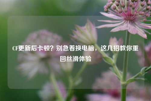 CF更新后卡顿？别急着换电脑，这几招教你重回丝滑体验
