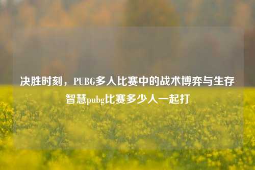 决胜时刻，PUBG多人比赛中的战术博弈与生存智慧pubg比赛多少人一起打