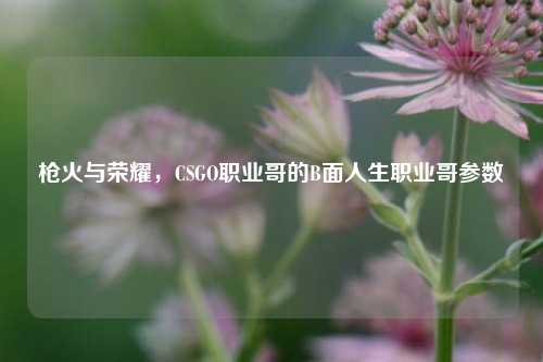枪火与荣耀，CSGO职业哥的B面人生职业哥参数