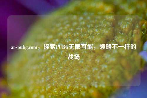 ar-pubg.com，探索PUBG无限可能，领略不一样的战场