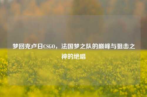梦回克卢日CSGO，法国梦之队的巅峰与狙击之神的绝唱