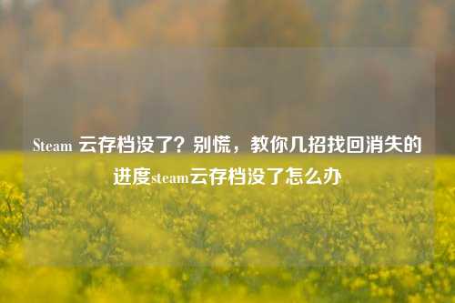 Steam 云存档没了？别慌，教你几招找回消失的进度steam云存档没了怎么办