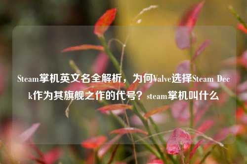 Steam掌机英文名全解析,为何Valve选择Steam Deck作为其旗舰之作的代号?steam掌机叫什么