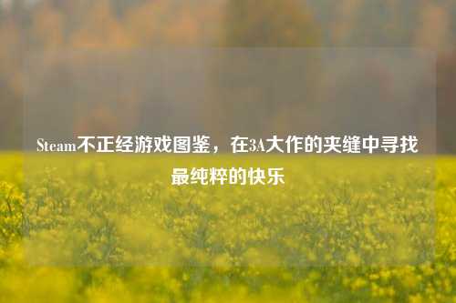 Steam不正经游戏图鉴，在3A大作的夹缝中寻找最纯粹的快乐