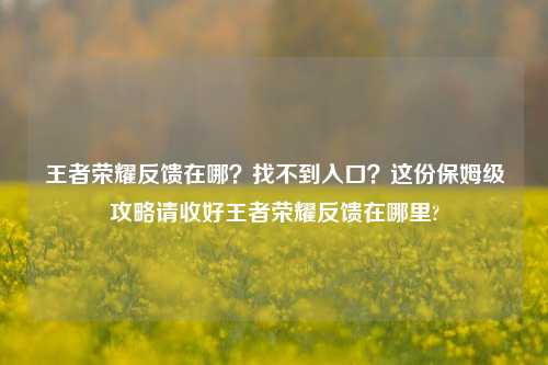 王者荣耀反馈在哪?找不到入口?这份保姆级攻略请收好王者荣耀反馈在哪里?