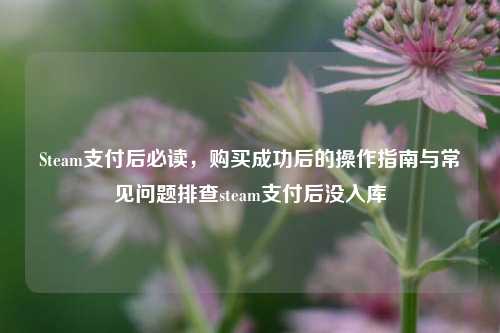 Steam支付后必读，购买成功后的操作指南与常见问题排查steam支付后没入库