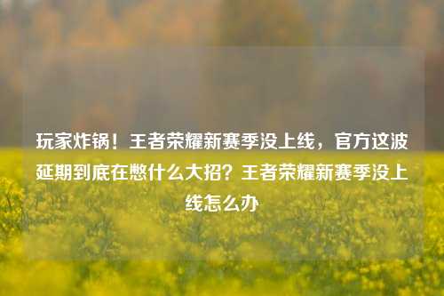 玩家炸锅！王者荣耀新赛季没上线，官方这波延期到底在憋什么大招？王者荣耀新赛季没上线怎么办