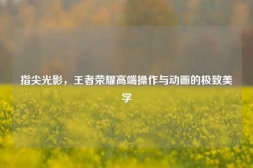 指尖光影，王者荣耀高端操作与动画的极致美学
