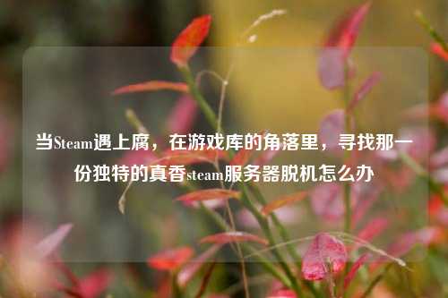 当Steam遇上腐，在游戏库的角落里，寻找那一份独特的真香steam服务器脱机怎么办