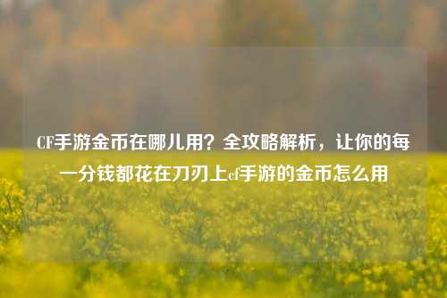 CF手游金币在哪儿用?全攻略解析,让你的每一分钱都花在刀刃上cf手游的金币怎么用