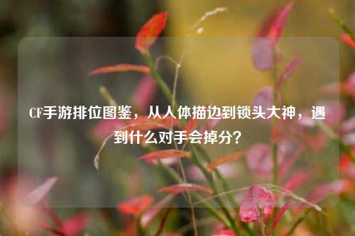CF手游排位图鉴，从人体描边到锁头大神，遇到什么对手会掉分？