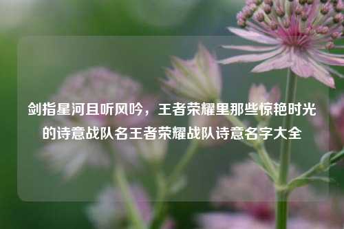 剑指星河且听风吟，王者荣耀里那些惊艳时光的诗意战队名王者荣耀战队诗意名字大全