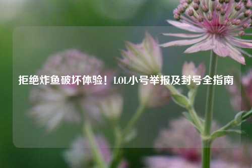 拒绝炸鱼破坏体验！LOL小号举报及封号全指南