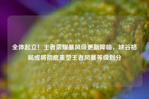 全体起立!王者荣耀暴风级更新降临,峡谷格局或将彻底重塑王者风暴等级划分