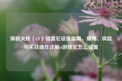 穿越火线（CF）键盘宏设置指南，原理、风险与实战操作详解cf游戏宏怎么设置