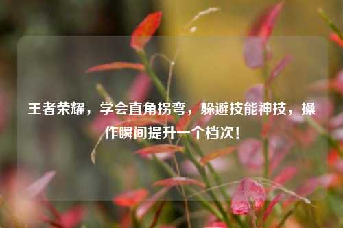 王者荣耀,学会直角拐弯,躲避技能神技,操作瞬间提升一个档次!