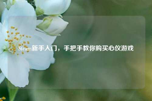 Steam新手入门，手把手教你购买心仪游戏
