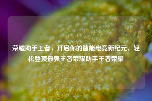 荣耀助手王者，开启你的智能电竞新纪元，轻松登顶最强王者荣耀助手王者荣耀