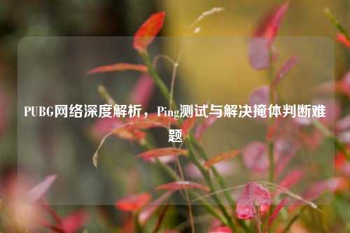 PUBG网络深度解析,Ping测试与解决掩体判断难题