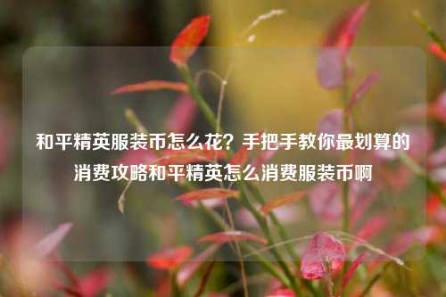 和平精英服装币怎么花?手把手教你最划算的消费攻略和平精英怎么消费服装币啊
