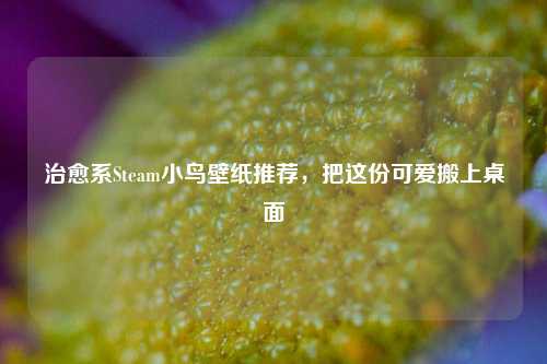 治愈系Steam小鸟壁纸推荐,把这份可爱搬上桌面