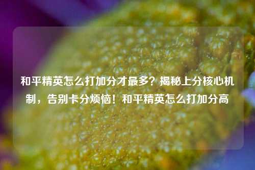和平精英怎么打加分才最多？揭秘上分核心机制，告别卡分烦恼！和平精英怎么打加分高