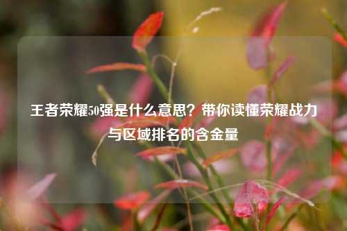 王者荣耀50强是什么意思？带你读懂荣耀战力与区域排名的含金量