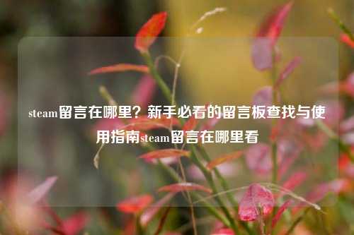 steam留言在哪里？新手必看的留言板查找与使用指南steam留言在哪里看