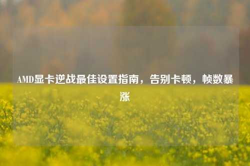 AMD显卡逆战最佳设置指南，告别卡顿，帧数暴涨