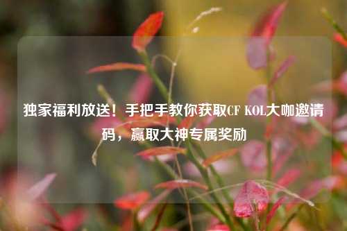 独家福利放送！手把手教你获取CF KOL大咖邀请码，赢取大神专属奖励