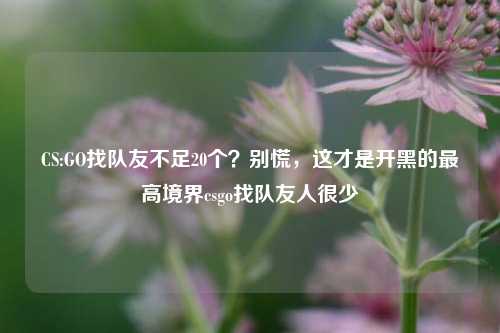 CS:GO找队友不足20个？别慌，这才是开黑的最高境界csgo找队友人很少