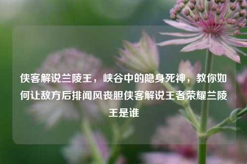 侠客解说兰陵王,峡谷中的隐身死神,教你如何让敌方后排闻风丧胆侠客解说王者荣耀兰陵王是谁