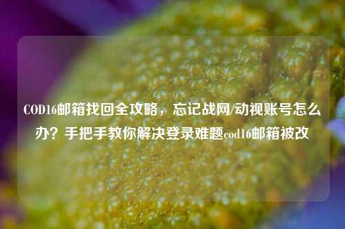 COD16邮箱找回全攻略，忘记战网/动视账号怎么办？手把手教你解决登录难题cod16邮箱被改