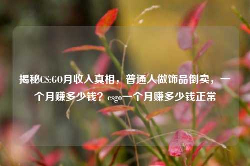 揭秘CS:GO月收入真相，普通人做饰品倒卖，一个月赚多少钱？csgo一个月赚多少钱正常