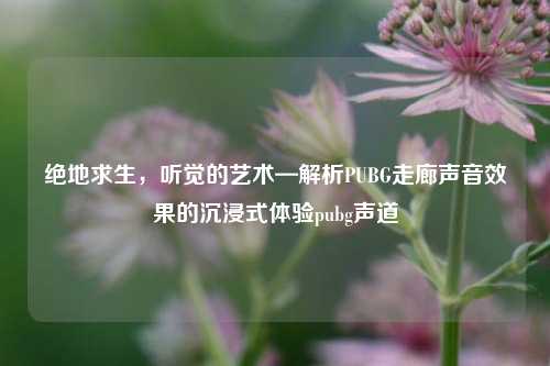 绝地求生,听觉的艺术—解析PUBG走廊声音效果的沉浸式体验pubg声道
